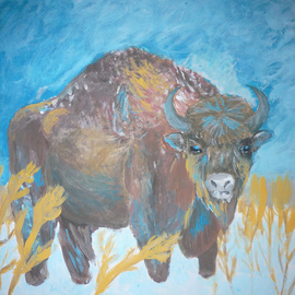 bison By Alexander Hinovsi