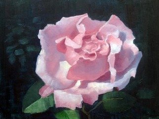 Armand Cabrera: 'Pink Rose', 2012 Oil Painting, Still Life.  Painted for Armand Cabrera's 