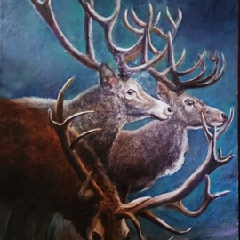 reindeers By Sylva Zalmanson