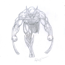wolverine charges By Addi Rujoh