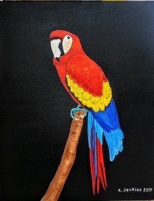 Althea E Jenkins: 'macaw', 2017 Acrylic Painting, Animals. Bird...