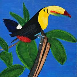 toucan By Althea E Jenkins