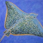 Flying Fish, Agnieszka Praxmayer