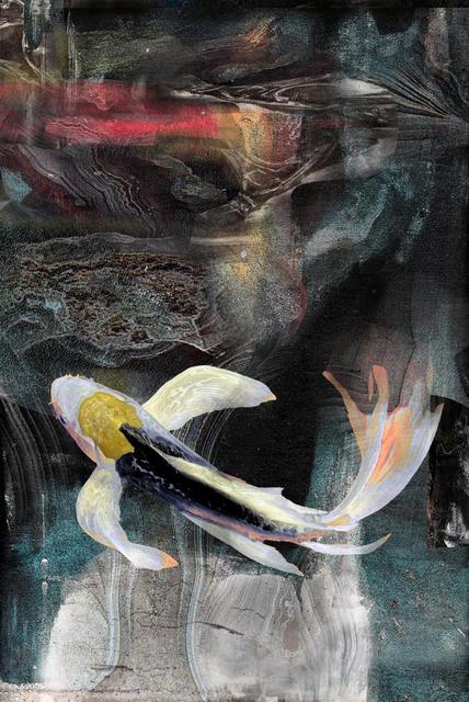 Airton Sobreira  'Agate Koi', created in 2013, Original Digital Painting.