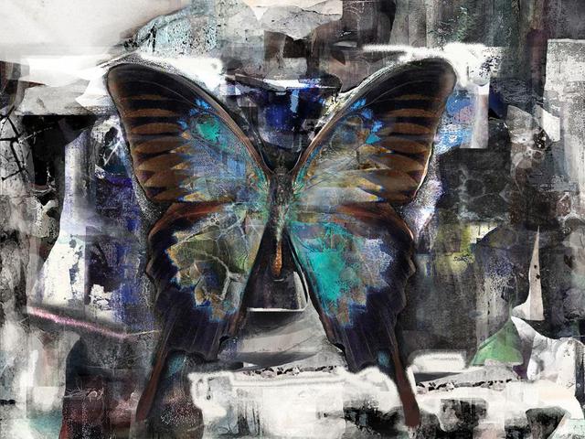 Airton Sobreira  'White Night Butterfly', created in 2013, Original Digital Painting.