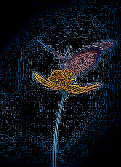 Ajeet Kumar Shaah  'Butterflys  Aurora', created in 2010, Original Digital Art.