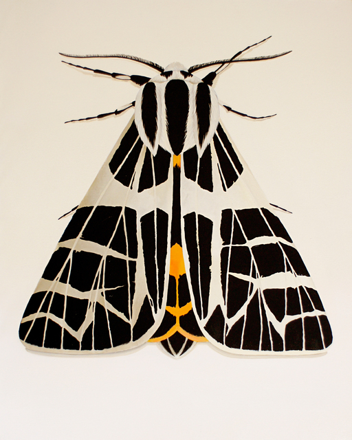 Aleksandra  Shoo  'Moth', created in 2018, Original other.