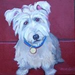Dog Portrait, Alice Murdoch