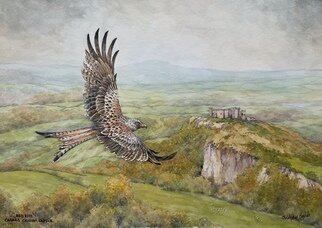 Christopher Hughes: 'red kite carreg cennen wales', 2021 Watercolor, Wildlife. A Red Kite flying over the ancient castle of Carreg Cennen in South Wales. Once almost extinct, Red Kites are now thriving and often referred to as the National bird of Wales. This original watercolour is painted on handmade 300 lb rag paper. I spend lots of time in Wales, ...