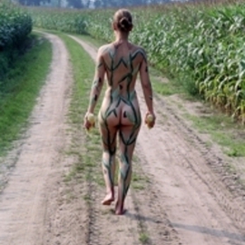 Amit Bar: 'Corn', 2003 Color Photograph, nudes. Artist Description:  Body- painted model in the nature        ...