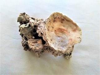 Anastasia Pourliotou: 'Geological marine complex', 2019 Crafts, Marine. Geological interest Natural marine complex, Ostrea Edulis Oyster, pumice stone, porous rock and pebbles006Found on beach of Corinthian Gulf in 2019.Unknown chronological origin, in cleaning, were tiny crabs and shrimp and probably was a newborn nest.All surfaces have been covered with stone veneer, which gives me the possibility ...