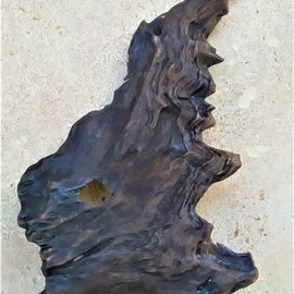 natural walnut tree bark By Anastasia Pourliotou