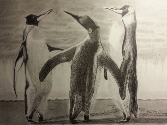 Mardas Angelo  'Penguins', created in 2014, Original Drawing Charcoal.