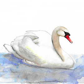 swan By Ana Neto