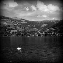 Anita Kovacevic: 'Zell am See II', 2011 Black and White Photograph, Travel. Artist Description:  Taken in Zell am See, Salzburger Land, Austria. |lake, nature, water, swan, bird, Zell am See, Austria, fine art, photography, photograph, anita kovacevic      ...