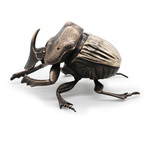 dung beetle By Anne Pierce