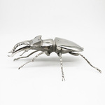 stag beetle stainless steel By Anne Pierce