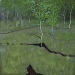 birch grove By Igor Sokolov