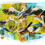 White Storks, Ariadna De Raadt