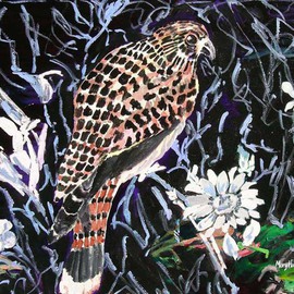Mary Hatch: 'Night Hawk', 2012 Acrylic Painting, Birds. Artist Description:  Part of the Bird, Flora and Fauna Series. Night Hawk with black background and white flowers. ...