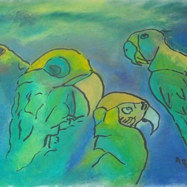 parrots  By Ari Rajsbaum