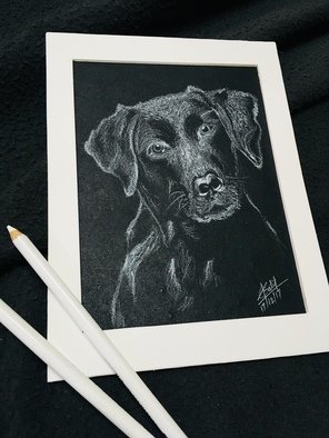 Shubham Patil: 'More Than Words', 2017 Pencil Drawing, Animals. Cute dog framed sketch with white coloured pencol on high quality black canvas paper, sprayed with transparent protective coating and framed in white frame....