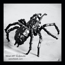 David Vanorbeek: 'tarentule', 2016 Steel Sculpture, Figurative. Artist Description: Spider- art...