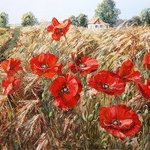 wheat field By Artemis  Artists Association