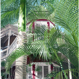 Victorian Palms By John Canning