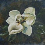 magnolia By Tatiana Ilina