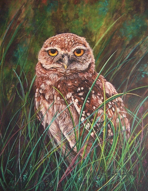 Judith Smith Wilson  'Cape Coral Burrowing Owl', created in 2004, Original Pastel.