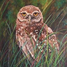 Cape Coral Burrowing Owl, Judith Smith Wilson