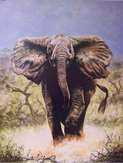 Artist Judith Smith Wilson. 'Charging Elephant' Artwork Image, Created in 1991, Original Pastel. #art #artist