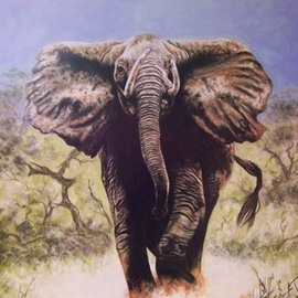 Charging Elephant By Judith Smith Wilson
