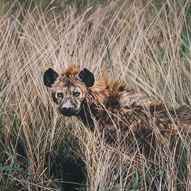 Lake Tuskanas Hyena, Judith Smith Wilson
