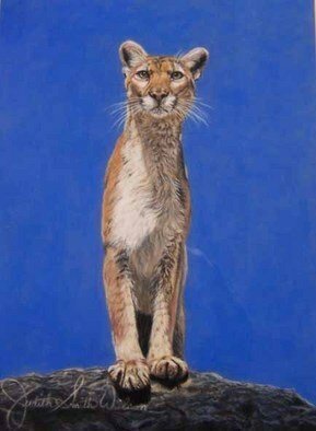 Judith Smith Wilson: 'Magnificent Cougar', 1991 Pastel, Wildlife.  Cougar standing on ridge surveying the landscape.  Original Pastel $6,500. 00.  No Prints Available....
