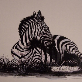 Reflections Of Zebra, Judith Smith Wilson