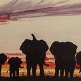 Savutis Elephants By Judith Smith Wilson