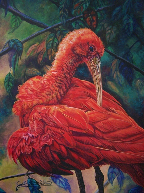 Judith Smith Wilson  'The Red Ibis', created in 2001, Original Pastel.