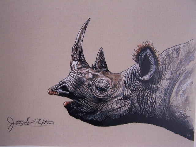 Artist Judith Smith Wilson. 'The Black Rhino' Artwork Image, Created in 1997, Original Pastel. #art #artist