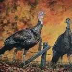 Wild Turkey Anyone By Judith Smith Wilson