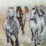 Horses Stampede By Sue Conditt