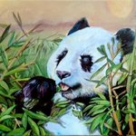 Panda Lunch By Sue Conditt