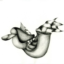 Saddled Snail By Juergen W.d. Stieler