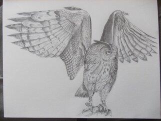 Art Thrus: 'owl ready', 2023 Graphite Drawing, Animals. A free hand graphite pencil drawing of an owl spreading and flapping its wings ready for flight, with 3 coats of fixative on medium rough paper...
