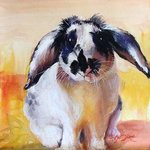 bunny By Anju Saran