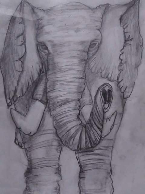 Artist Ashley Everett. 'Elephant Drawing In Pencil' Artwork Image, Created in 2019, Original Painting Acrylic. #art #artist