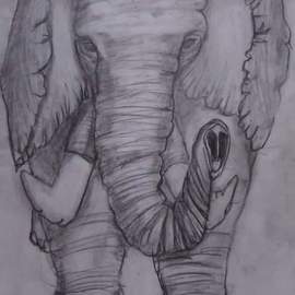 Ashley Everett: 'elephant drawing in pencil', 2019 Pencil Drawing, Animals. Artist Description: Elephant drawing done in pencil.  Note for buyer I offer drawings and paintings with or without canvas.  If you are wanting this I will be drawing painting you a new one. . .  So you re able to make adjustments to your liking. . .  You can even have this done using ...