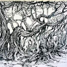Tree scape By Ashok Revankar