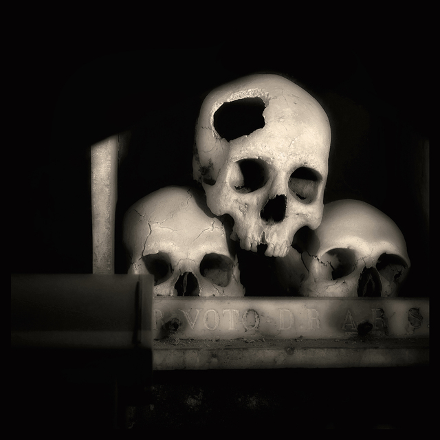 Artist Augusto De Luca. 'Skull 1 - By Augusto De Luca' Artwork Image, Created in 2017, Original Photography Black and White. #art #artist
